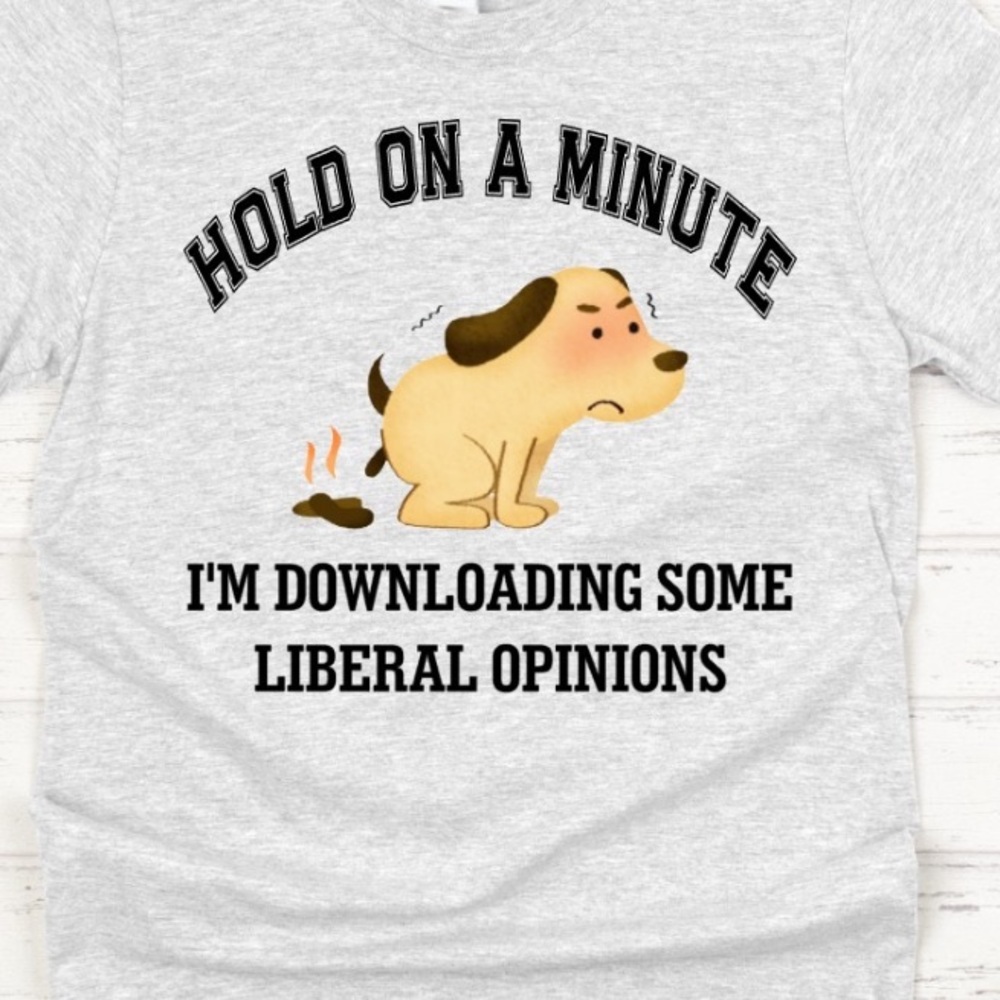 T-shirts, Funny Conservative Downloading Liberal Opinions Color Gray Uni…